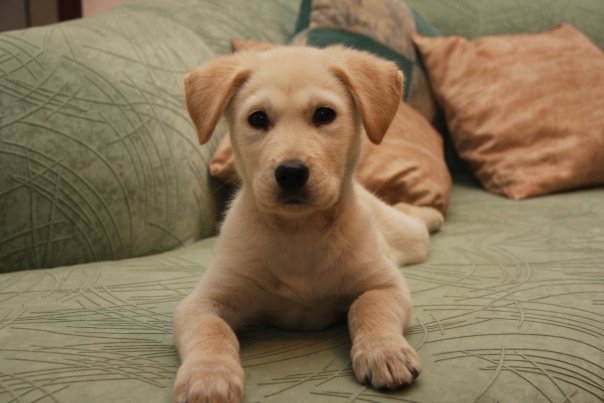 ���� �� 2 ������ :)