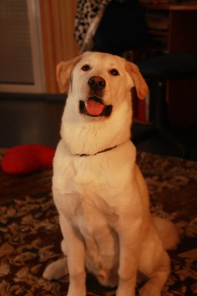 ���� �� 6 ������ :)