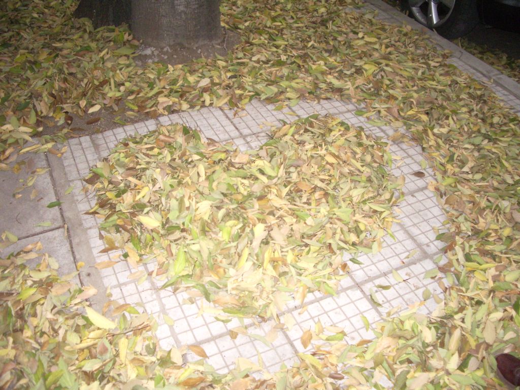 ������ �����