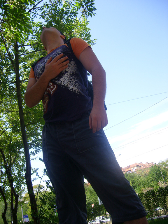 Insect-  > Follow the leader