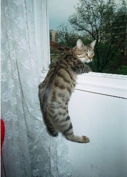 ����� �� ����� �� �����........