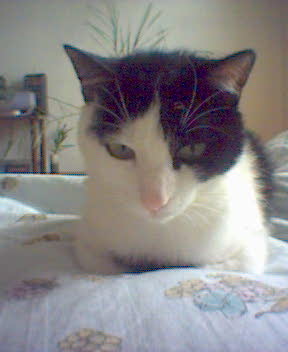 ����� ���������, �� �����, �����!