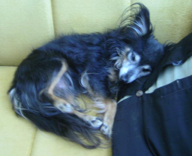 �! �� �� ����� ��� � ���� ���������� ����.