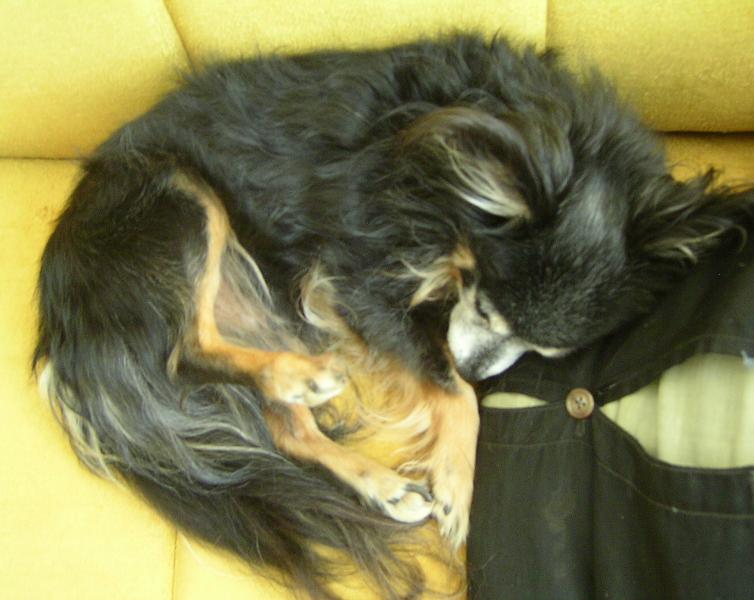 ����� �� �� �����...