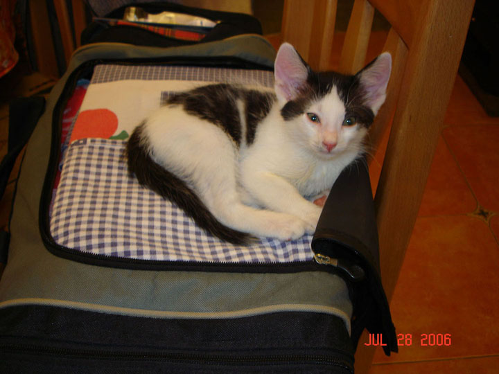 ���� � ���� ����� � ����� ����������