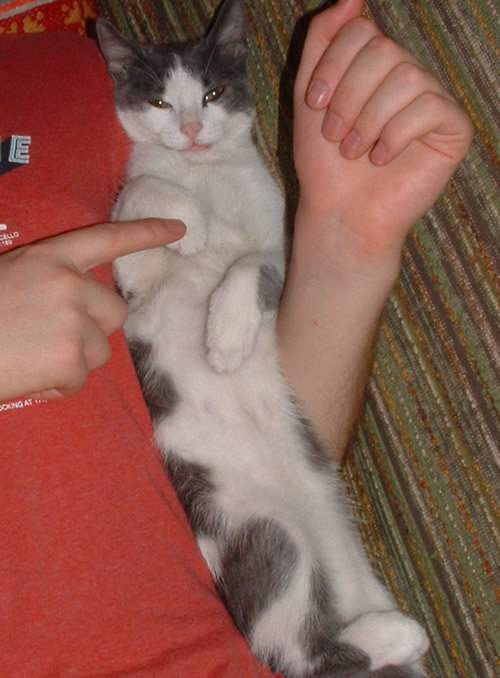 ���� ������ � ������