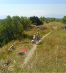 *���������*